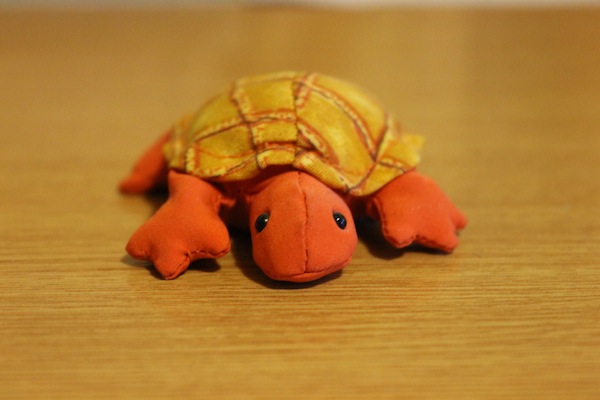 George, the mightiest of tortoises